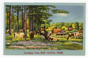 Image description is not available for PHO-264-803